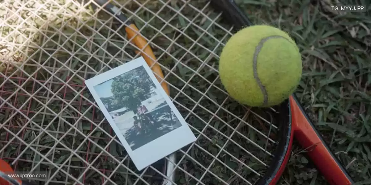 🎁 会员专属福利，购票折扣 + 周边盲盒双重惊喜！